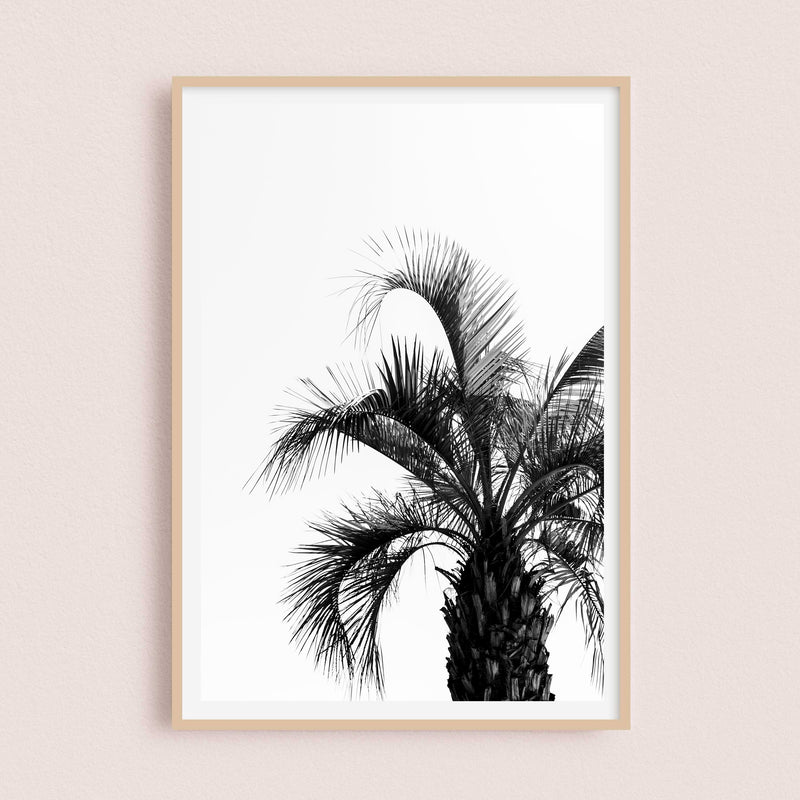 Palm tree | Martigues, France - 21x30cm