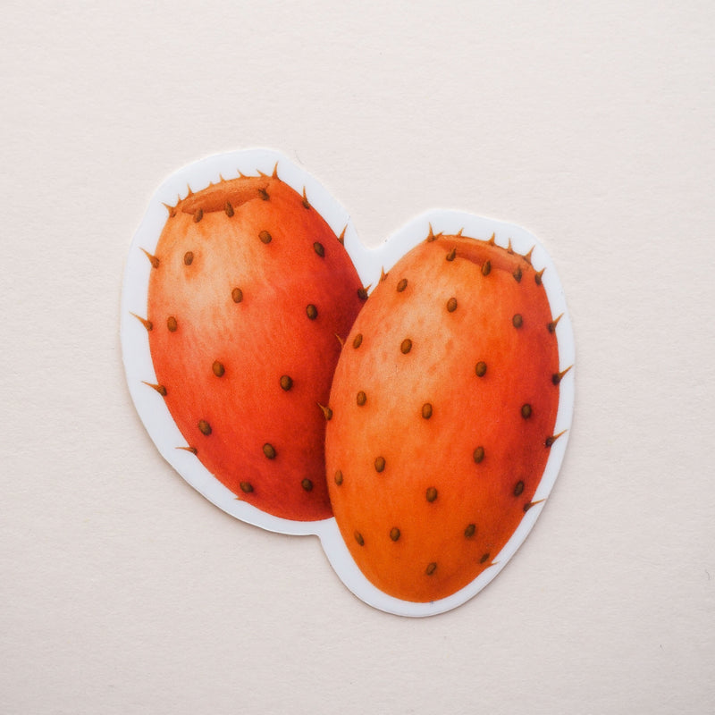 Sticker Figues de Barabarie