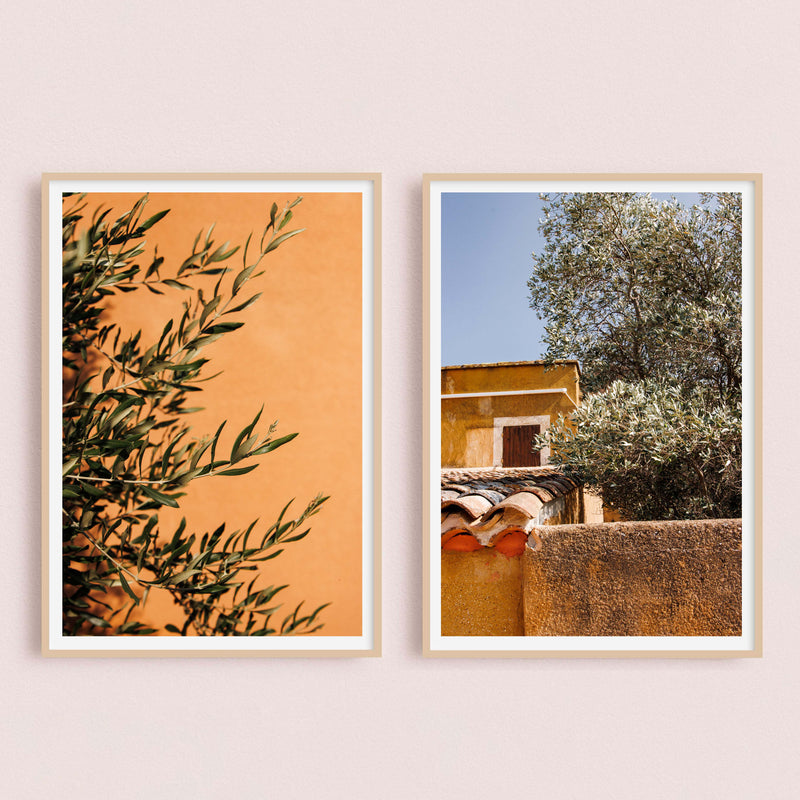 Diptyque Oliviers | Roussillon - France